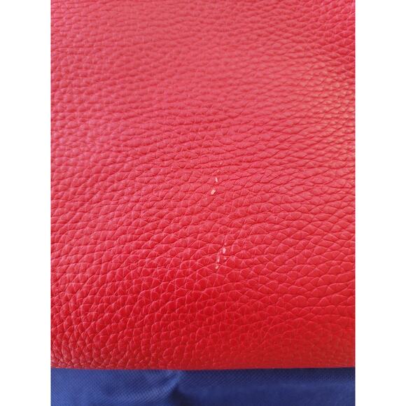 NWT Dooney & Bourke Ginger Pouchette Pebbled Grain Leather Red Crossbody Bag - Picture 4 of 12